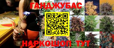 сатива Бузулук