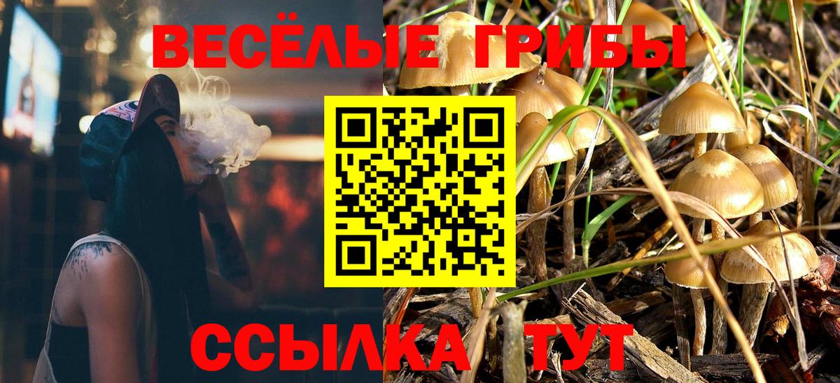 Новозыбков  Псилоцибиновые грибы Magic Shrooms  Псилоцибиновые грибы Psilocybine cubensis  Вход с VPN 